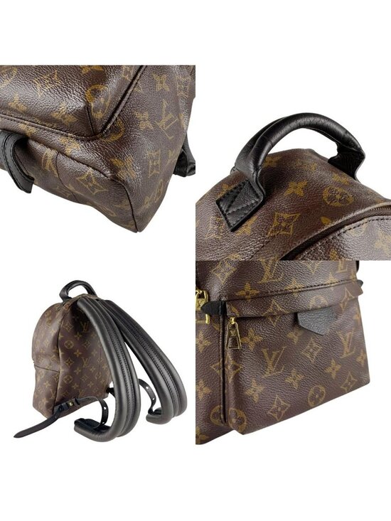 Louis Vuitton Palm Springs Backpack PM main image 7